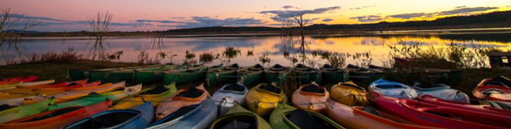 Canoes lined up on the shore of Lake Keepit